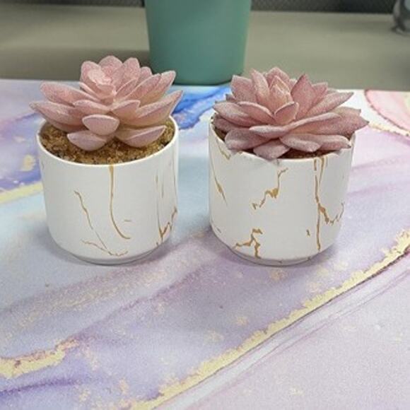 Other - Artificial Plants and Succulents in 2 White Ceramic Pots,Small Fake Plants